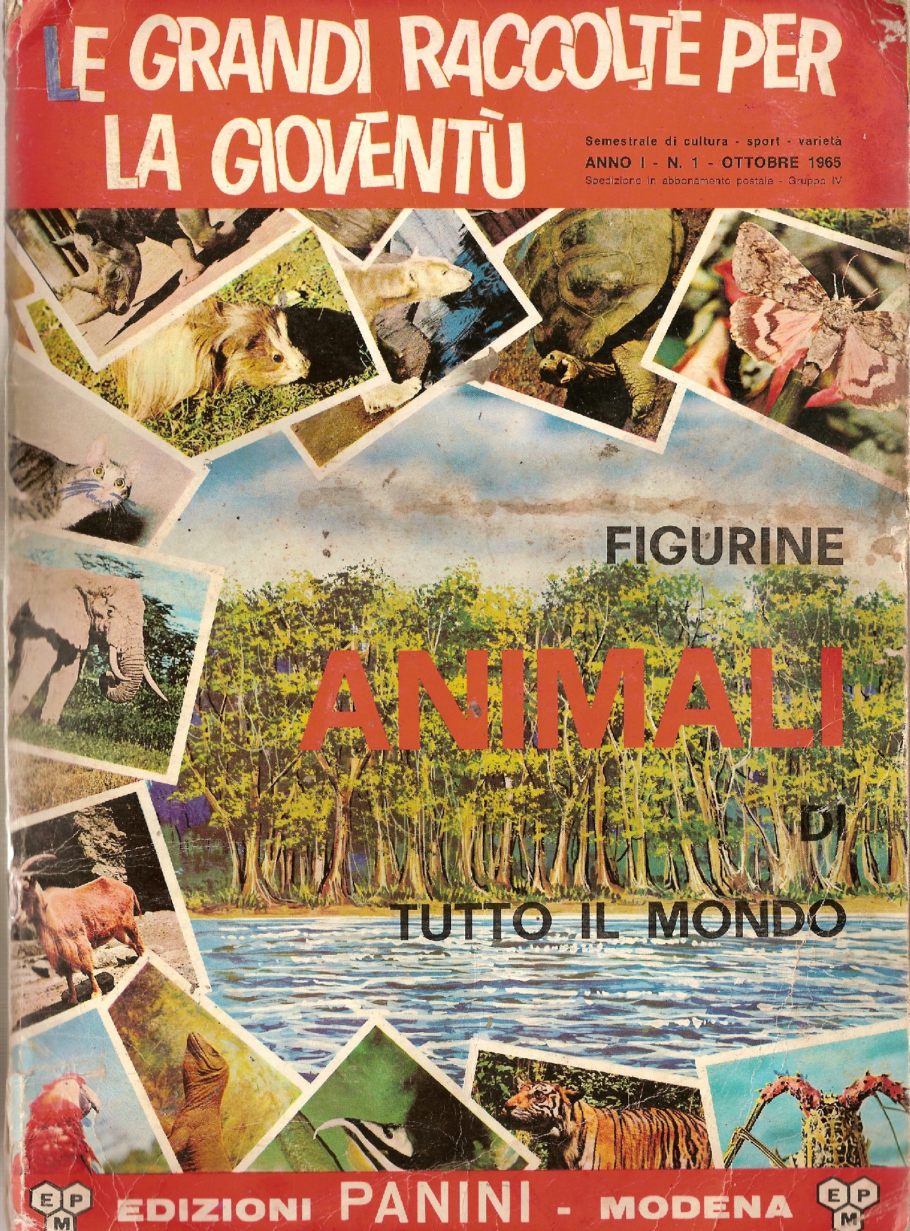 Figurina Panini-ANIMALI DI TUTTO IL MONDO 1965-n.57-BALENA-rec 